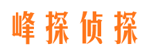 思茅市调查公司